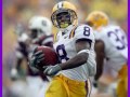 lsu-bcs-champs-2008.html