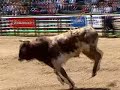 Coombs 08