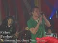 Bamboo - Kailan