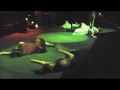 Gristle Gals at Fox... View Video
