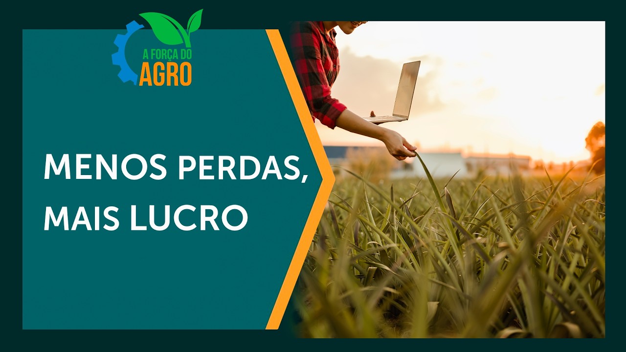 O que a ciência esconde para reduzir perdas no agro?  |  A Força do Agro, com Joice Maffezzolli