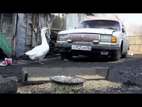 Еще один раз (Russian Roads)