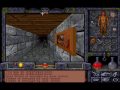 part 1: www.youtube.com - the game - ultima underworld ii: labyrinth of worlds is a first-person 3d rpg game set in the ultima universe. uw2 is the sequel to ultima underworld: the stygian abyss and was created by looking glass technologies and published by electronic arts in 1993 - the story - the storyline takes place between parts one and two of ultima vii and as usual has you playing that part of the avatar. one year after the black gate incident of ultima vii, you are invited to a feast ...