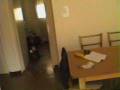 videos de 