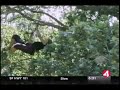 Tree sitter \"Dumpster Muffin\" Interviewed