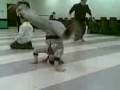 videos de B'Girl mojo, Headspin