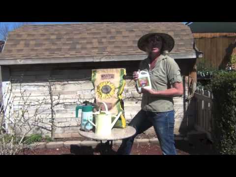 how to fertilize flower pots
