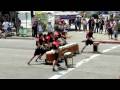 Taiko (Asayake Taiko-Kodomo Zakari, 2008-07-13)