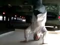 \"She Said\" Breakdance Music Video \"She Said\" Breakdance Music Video