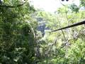 videos de CANOPY 400mts EN 23seg