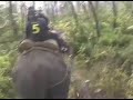 Elephant ride back to Tiger Tops after Polo
