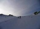Skiing Skiing
