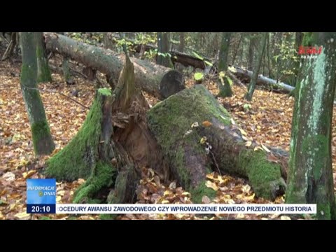 Przyszłość ustawy deregulacyjnej