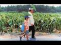 Assistir ao v�deo