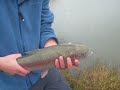 Funny releasing a 5-6lb rainbow trout