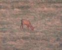 CHKO Horna Orava