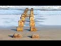 Apollo  Bay and surrounds photos