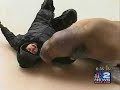 WGRZ Buffalo WGRZ Buffalo
