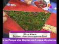 Dicas - Decora��es de Natal - Pra�a Alegria