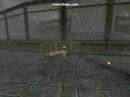 RO2 CB3 - Cognito