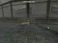 RO2 CB3 - Cognito