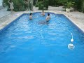 muñonbol desde el fondo muñonbol desde el fondo