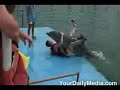 The Happy Dolphin! The Happy Dolphin!