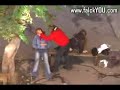 Drunk Russian Teens