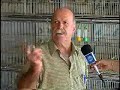 PROGRAMA PET & CIA - CALOPSITAS