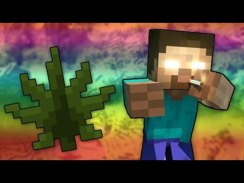 MINECRAFT AAN DE DRUGS!