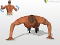 Perfect Six Pack Abs