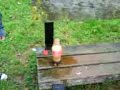 badly planned coke experiment