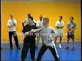 qin-na-2002-seminar-yue-jia-san-shou-.html