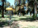 randy-hixon-disc-golf-putt.html
