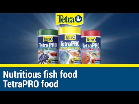 TETRA PRO COLOUR MULTI-CRISPS 250ml/55g 6pcs/shrink pack, 108pcs/outer 