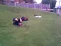 Rollin Down A Hill Rollin Down A Hill