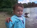 Joao e os amigos patos