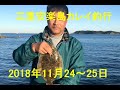 2018 11 24～25　安楽島漁港　投げ釣行