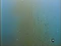 LO SCANDALO DELLA CONDOTTA SOTTOMARINA A TARANTO Fabio Matacchiera (RAI TG3)