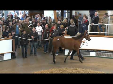 Tattersalls October Yearling Sale Book 1 Day Two 2012 