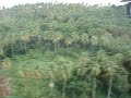 Landing at Dominica\