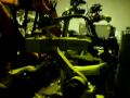Used indutrial robot FANUC Arcmate 100i w/ control Rj2 and 7th axis positioner @ www.eurobots.net