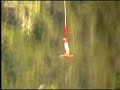 Bungy Jump Bungy Jump