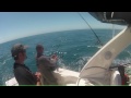 Click here to watch this video Point Reyes Salmon Fishing - 5/20/2012 - Limit Fish