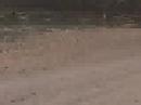 2ª carrera del ebro