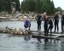 Dolfinarium Dichter bij de dolfijnen Dolfinarium Dichter bij de dolfijnen