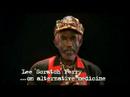 lee scratch perry on alternative medicine