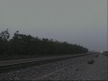 Amtrak 716 Rolls By, 10/27/09