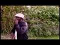Terry-Harmonica-Bean