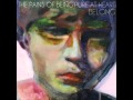 the pains of being pure at heart - Anne With an E